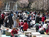 坂橋 赤塚 フリーマーケット