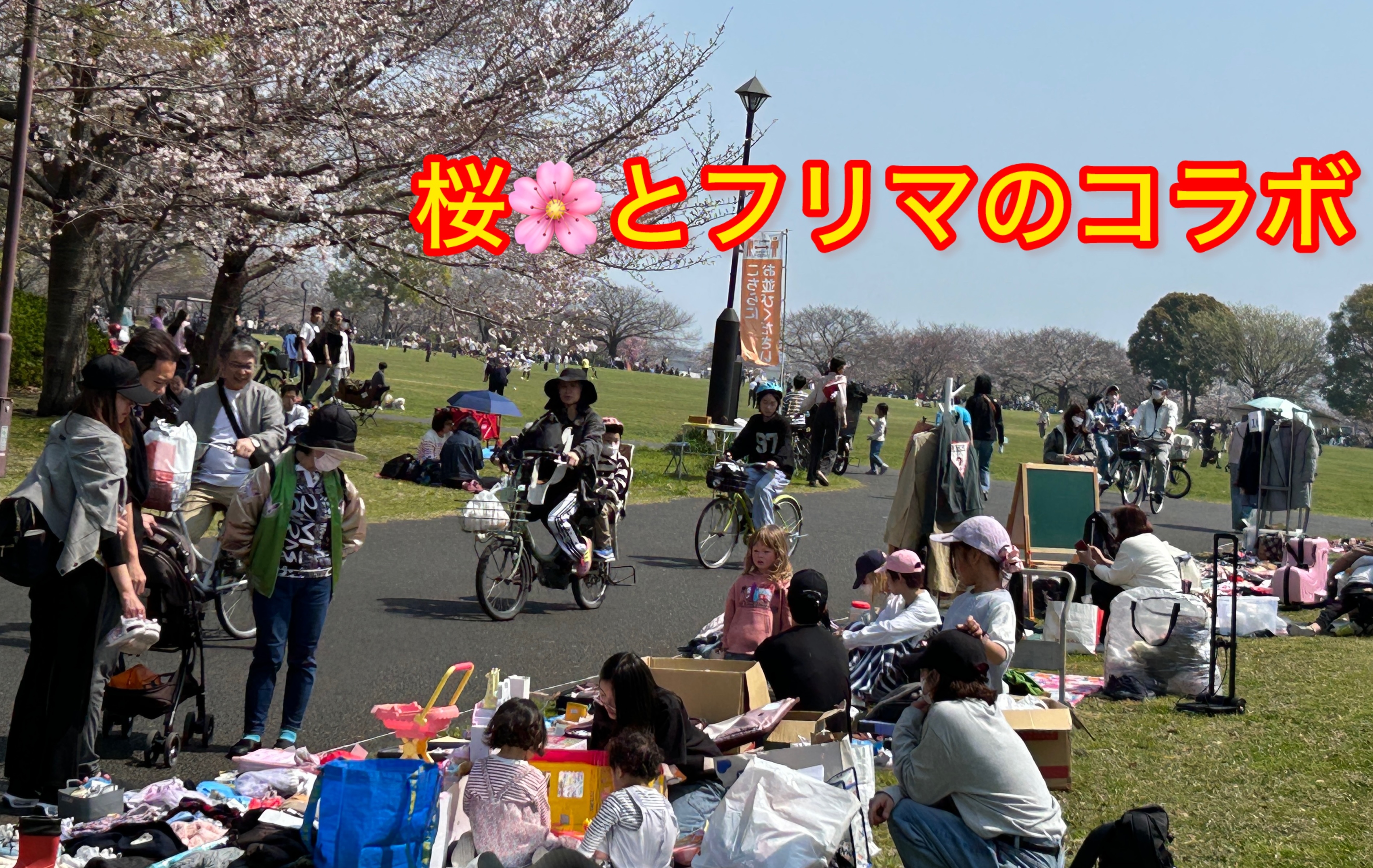 大島小松川公園フリーマーケット