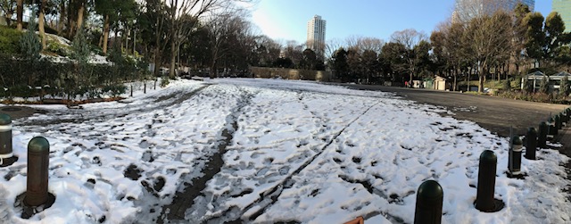 新宿中央公園風景